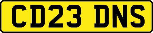 CD23DNS