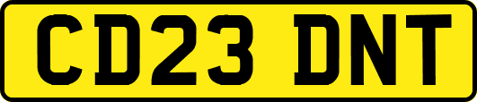 CD23DNT