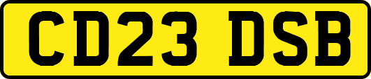 CD23DSB