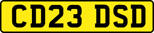 CD23DSD