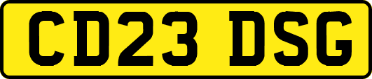 CD23DSG