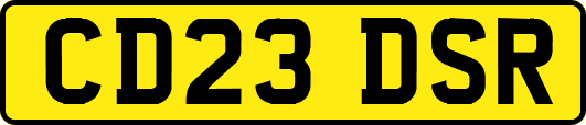 CD23DSR