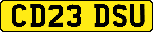 CD23DSU