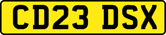 CD23DSX