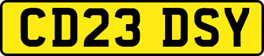 CD23DSY