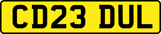 CD23DUL