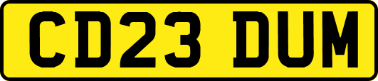 CD23DUM