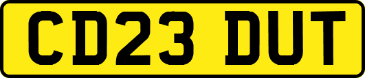 CD23DUT