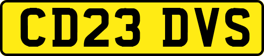 CD23DVS