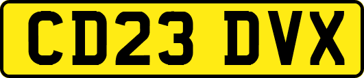 CD23DVX