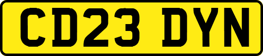 CD23DYN