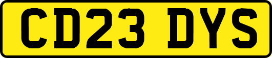 CD23DYS