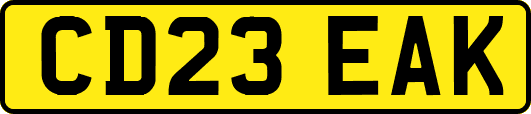 CD23EAK