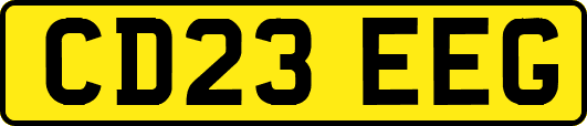 CD23EEG