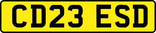 CD23ESD