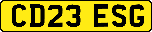 CD23ESG
