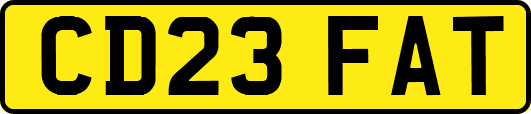 CD23FAT
