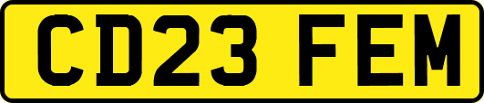 CD23FEM