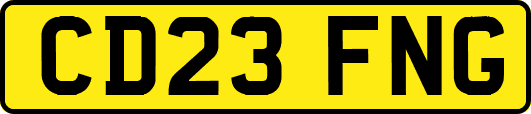 CD23FNG
