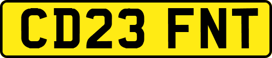 CD23FNT