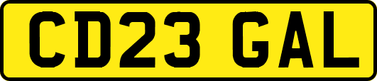 CD23GAL