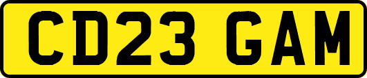 CD23GAM