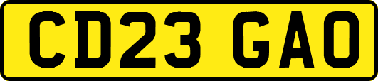 CD23GAO