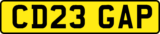 CD23GAP
