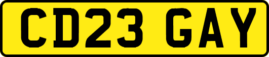 CD23GAY
