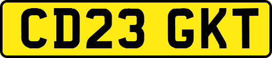 CD23GKT