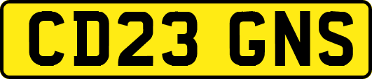 CD23GNS
