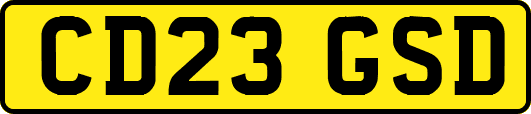 CD23GSD
