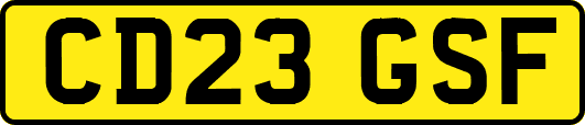 CD23GSF