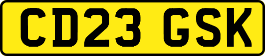 CD23GSK
