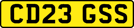 CD23GSS