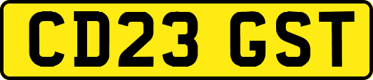 CD23GST