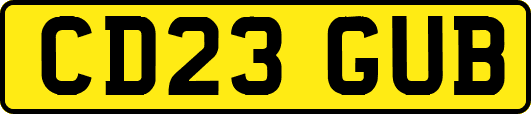 CD23GUB