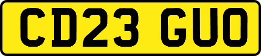 CD23GUO