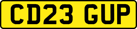 CD23GUP