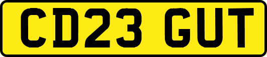 CD23GUT