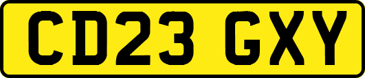 CD23GXY