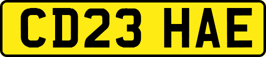 CD23HAE