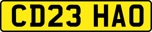 CD23HAO