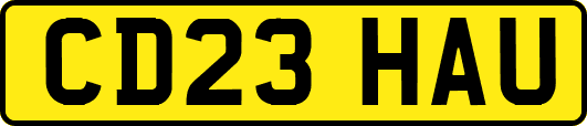 CD23HAU