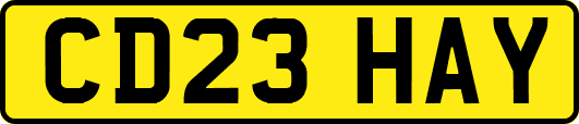 CD23HAY