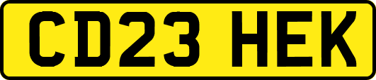 CD23HEK