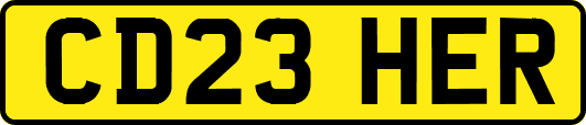 CD23HER