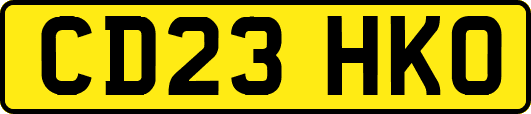 CD23HKO