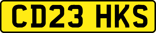 CD23HKS