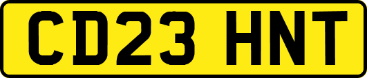 CD23HNT